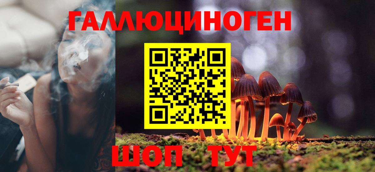 Псилоцибиновые грибы мицелий Гулькевичи